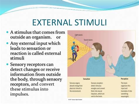 Image result for Stimulus Control Transfer ABA Example