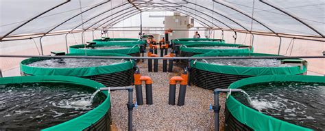 Aquaculture 的图像结果