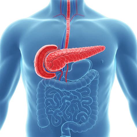 Best Cancer Surgeon Hadapsar Pune | Dr. Vinod Gore – Robotic ...