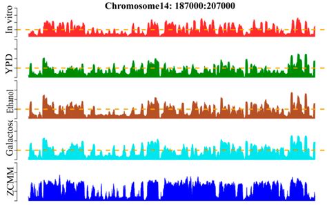 ZCMM: A Novel Method Using Z-Curve Theory- Based and Position Weight ...