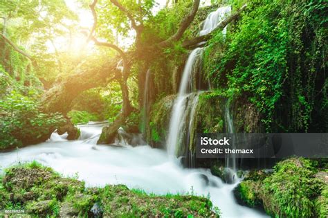 Travel Background 的图像结果