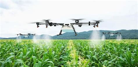 Examples of Intermediate Technology 的图像结果