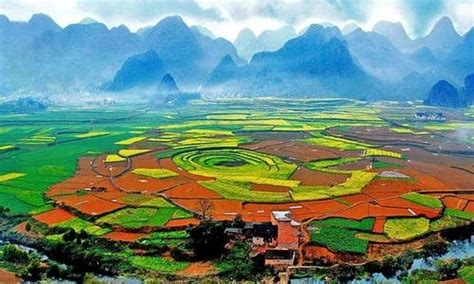 1798林峰林若荷1798林峰荷花小说2022已更新今日资讯