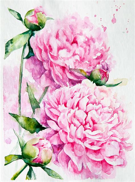 Watercolor peonies | Watercolor flowers tutorial, Flower art, Beautiful flower tattoos - painting of peonies