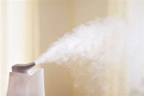 Image result for Humidifier with Essential Oils