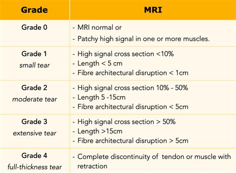Hamstring Injury Recovery Time 的图像结果