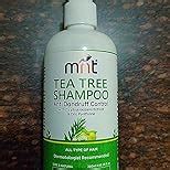 Buy MNT Tea Tree Anti-Dandruff Shampoo 300 ml | Removes Dandruff and ...
