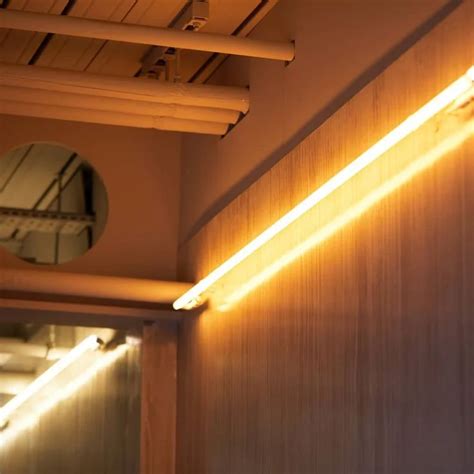 Image result for Cold-Cathode Light