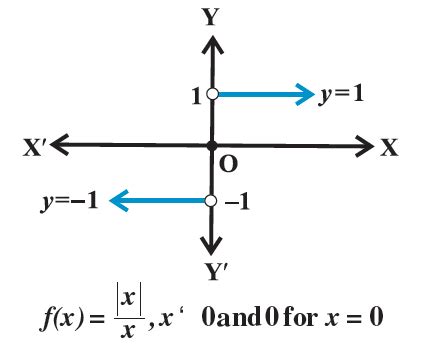 Image result for Signum Function Graph