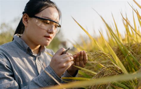 Data Management Solutions : Fujitsu Global