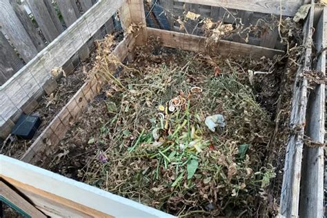 Image result for How to Compost Fast