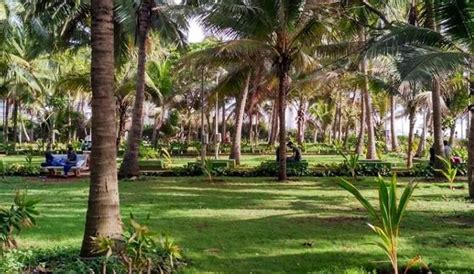 Amarsons Garden | WhatsHot Mumbai