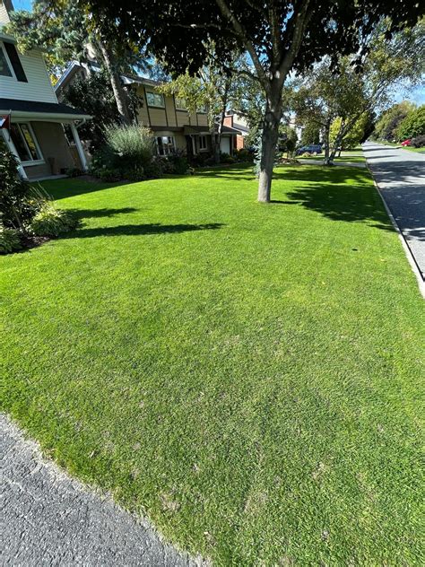 Leveling Your Lawn with Sand - DIY LAWN EXPERT