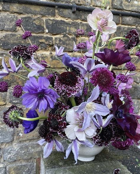 Pin by Leanne Anderson on Flowers in 2025 | Orchid flower arrangements ...