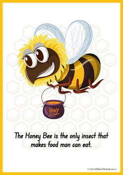 CBeebies Bees Fact File 的图像结果