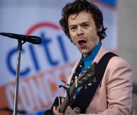 She Music Video Harry 的图像结果