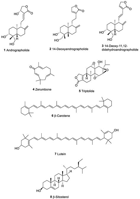 Antitumor Potential of Immunomodulatory Natural Products