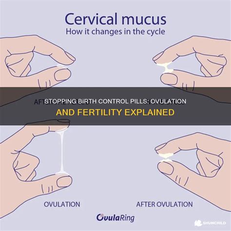 Stopping Birth Control Pills: Ovulation And Fertility Explained | ShunChild