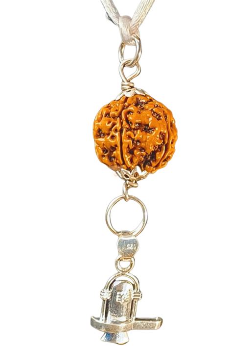 5 Mukhi Rudraksha with Silver Shiva Ling Pendant| Lab Certified ...