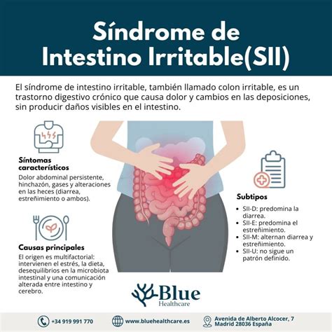 Síndrome de Intestino Irritable (Colon Irritable): síntomas y causas