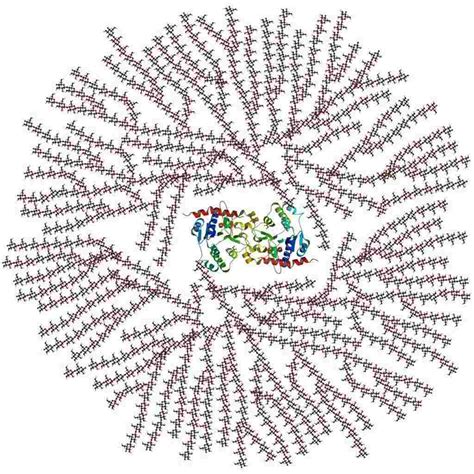 Carbohydrate Structure Overview - Creative Biostructure