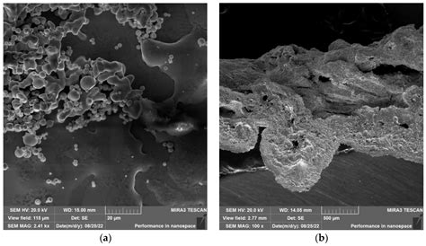 Theoretical and Practical Evaluation of the Feasibility of Zinc ...