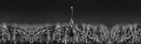 Kalibers | Renaissance Crafts International