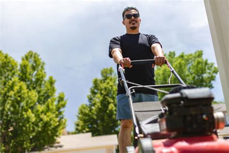 80+ Mexican Lawn Mower Stock Photos, Pictures & Royalty-Free Images ...