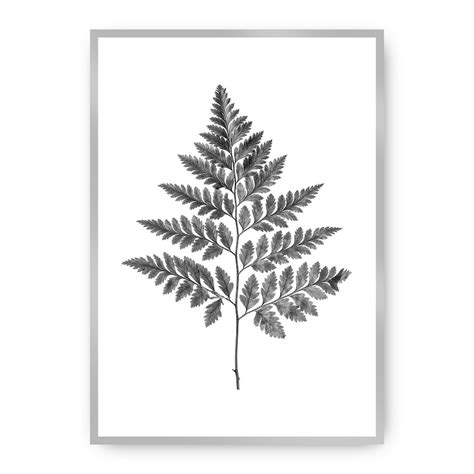 Plakat Fern Grey, 21 x 30 cm, Ramka: Srebrna | home&you