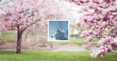 Obituary | Nancy Ann Matthews of Carlisle, Pennsylvania | Ewing ...