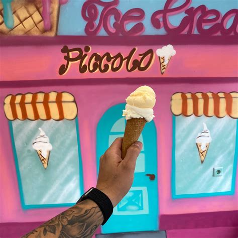 THE 5 BEST Places to Visit in Sint Willebrord (2026)