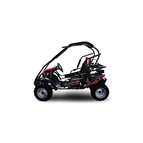 Trailmaster Blazer 200R Go Kart Youth Go Kart. Ages | Ubuy India