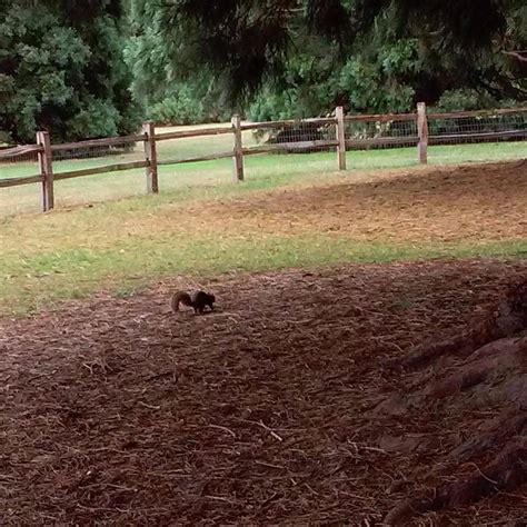 Westmoreland Park (Portland): All You Need to Know BEFORE You Go