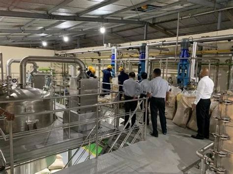 Food Processing Machines - Pineapple Processing Machinery Wholesaler ...