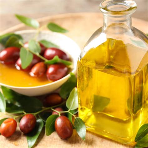 Unlock the Benefits of Jojoba Oil for Skin | 100% PURE | Jojoba oil benefits, Jojoba oil skin ...