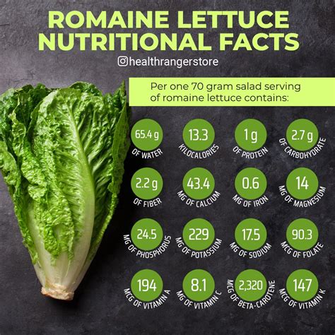 Romaine Lettuce Nutritional Facts | Lettuce nutrition, Lettuce calories ...
