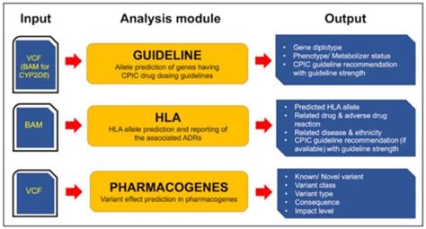PharmVIP: A Web-Based Tool for Pharmacogenomic Variant Analysis and ...
