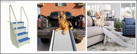 Image result for Pool Steps for Dogs