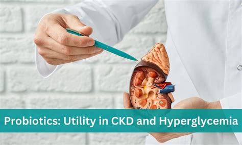 Probiotics in CKD-Complimentary Role in Glycemic Regulation