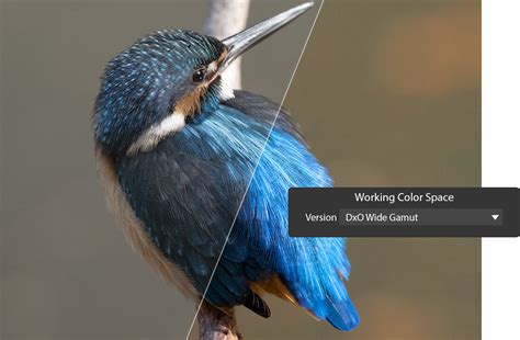 Extended Gamut Color Space 的图像结果