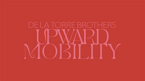 de la Torre Brothers: Upward Mobility - McNay Art Museum