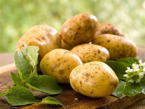 pomme de terre à la graisse de canard