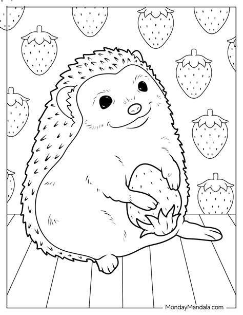 20 Hedgehog Coloring Pages (Free PDF Printables)