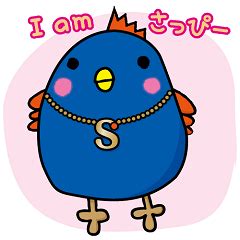Image result for Coding Program Image