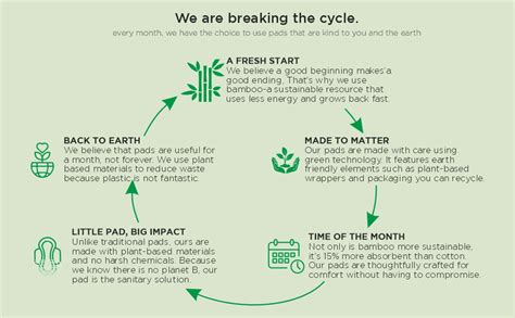 Buy Helium Biodegradable Bamboo Premium Sanitary Pads - (Pack Of 2*25 ...