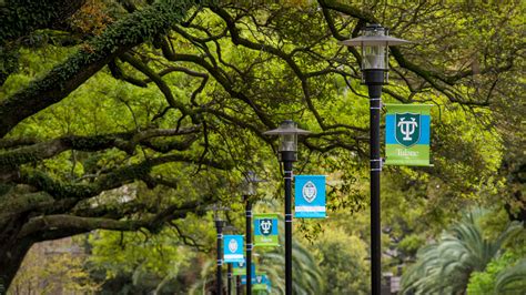 Undergraduate Curriculum | President