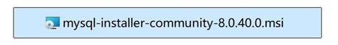 Installing MySQL Server Images 的图像结果