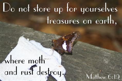 Image result for Moth Moth and Rust