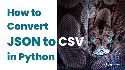 JSON File Using Python Jupyter Notebook 的图像结果