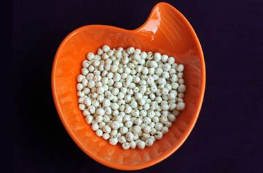 Indian Institute of Millets Research (IIMR)